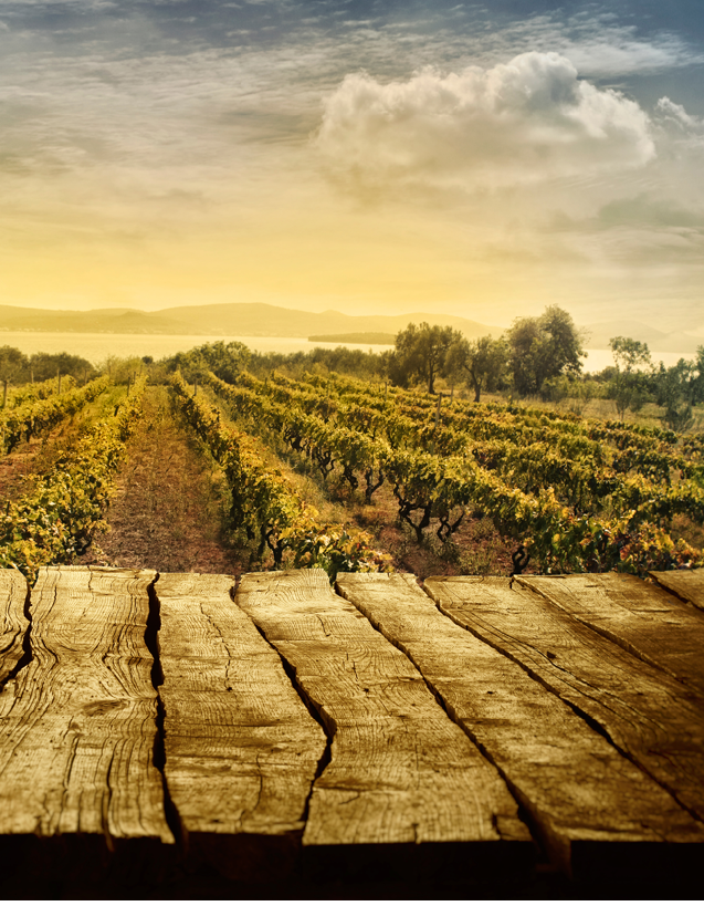 Wooden table  Spring design with vineyard and empty display  Space for your montage  Autumn grapes harvest